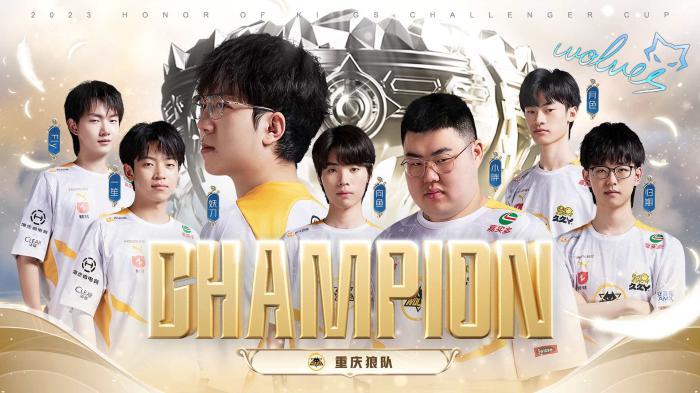 职业生涯中